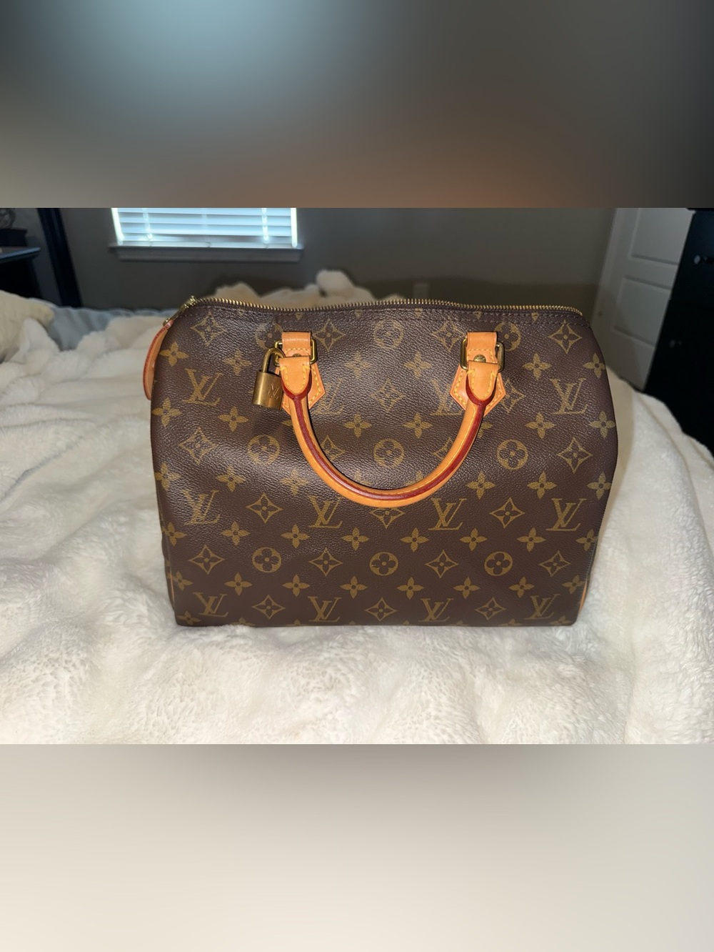 Louis Vuitton Speedy 30 Excellent Condition Authentic